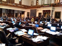 Texas Legislature