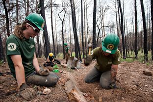 Americorps volunteers are active in Bastrop State Park building trails and anti-erosion retaining walls.