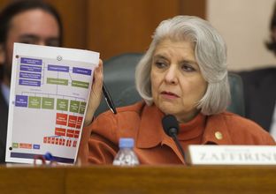 Sen. Judith Zaffirini D-Laredo, holds up chart during testimony by state auditors regarding CPRIT at Senate finance committee hearing on February 5th, 2013