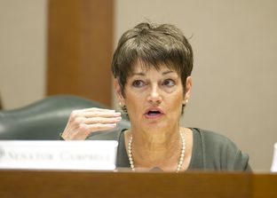 Sen. Donna Campbell, R-New Braunfels, in Senate Education Committee on April 9, 2013.