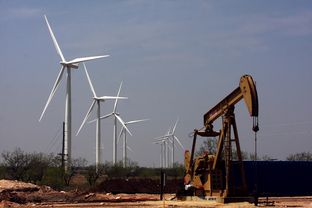 A recently installed, working pump jack sits near wind turbines in the Cline Shale region, near Maryneal south of Sweetwater.