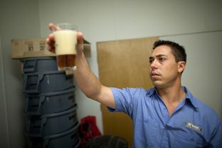 Matt Bitsche, chief engineer and head brewer at Infamous Brewing Company, inspects a pint of beer for clarity, aroma and overall carbonation in the glass, Jul. 12, 2013.