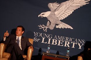 Sen. Ted Cruz, R-Texas, speaking at the 2013 Young Americans for Liberty National Convention at George Mason University in Arlington, Va., on July 31, 2013.