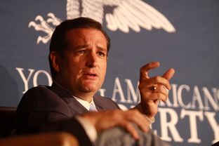 Sen. Ted Cruz, R-Texas, speaking at the 2013 Young Americans for Liberty National Convention at George Mason University in Arlington, Virginia on July 31, 2013.