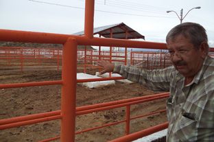 Veterinarian and cattle buyer Jesús Baca discusses how cattle were inspected before the USDA pulled its American inspectors from Mexico.