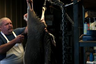Robert Lang processes a deer in his butcher shop, Hill Country Fine Meats and Seafood, in Marble Falls.