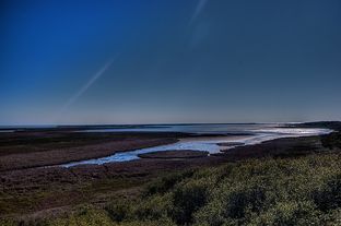 San Antonio Bay is home to the Aransas National Wildlife Refuge, where endangered whooping cranes live. The water that flows into the bay from the San Antonio River is vital to the species' survival.