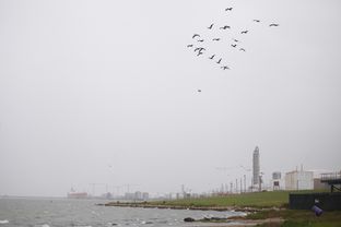 Galveston Bay near the Texas City Dike and the Valero Refinery in Texas City, Wednesday March 26, 2014.