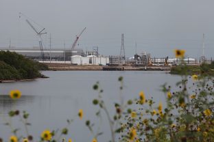 The Dow chemical plant along the Brazos River in Freeport, Texas.