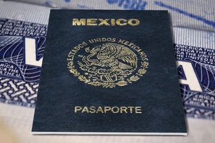 A number of Mexican nationals are in the United States on treaty investor visas, which allow them to operate businesses here. Some are taking issue with recent changes to the requirements on renewing those visas.