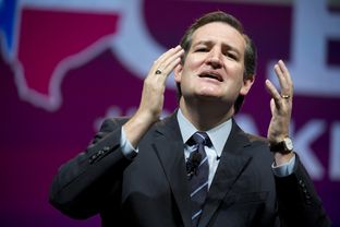 Sen. Ted Cruz of Texas gives an impassioned speech to Republican delegates in Fort Worth on June 6, 2014.