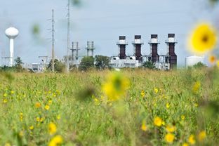 The Onion Creek substation was badly flooded with heavy storms last fall. It is one of the many "critical infrastructure assets" whose vulnerability to climate change will be studied by Austin.
