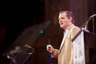 U.S. Sen Ted Cruz gives a speech at the Iowa Freedom Summit in Des Moines, Iowa, on Jan. 24, 2015. (Photo by Rebecca Miller)
