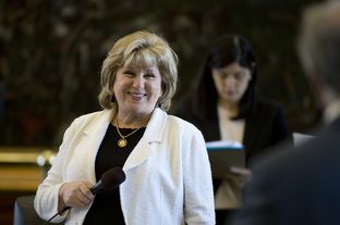 Sen. Jane Nelson, R-Flower Mound, lays out the property tax relief portion of Senate Bill 1 for final passage in the Senate on March 25, 2015.