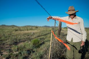 David Keller, an archaeologist at Sul Ross State University and head of the Big Bend Conservation Alliance, looks out over land in Brewster County, near the site of a planned pipeline that would send Texas gas to Mexico.