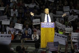 Republican presidential candidate Donald Trump spoke during a rally at Beaumont's Ford Arena on Nov. 14, 2015.