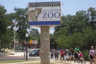 The San Antonio Zoo is one of several across Texas struggling to navigate new gun laws in the state.