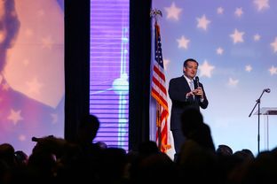 Republican presidential candidate Ted Cruz speaks in Houston at the Bayou Civic Center during the Harris County Republican Party's 2016 Lincoln-Reagan Dinner on Feb. 24, 2016.