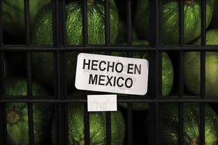 Mexican produce makes up 40 percent of the business Nicho Produce does in the Rio Grande Valley.