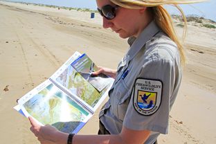 Jennifer White, a public relations liaison for the U.S. Fish and Wildlife Service, looks over a map of Boca Chica Beach in South Texas. The map shows the protected area’s privately owned parcels; one could become a SpaceX launchpad site.