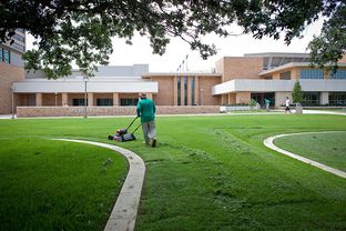 Landscaping workers are among the Texas A&M University employees who will have to join an outside company, because A&M is outsourcing its support services.