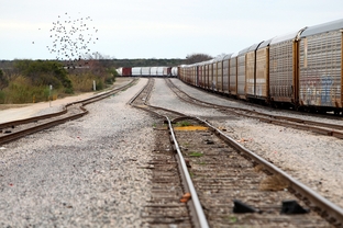 Coal from the Dos Republicas site in rural Maverick County is carried by train through the center of Eagle Pass, Texas, and across the border into Mexico where it can be sold.