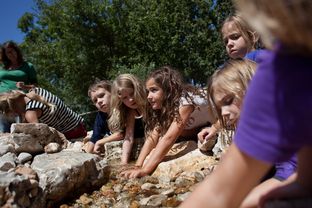 Students at Austin ISD's Casis Elementary explore the pond in their newly built outdoor classroom.