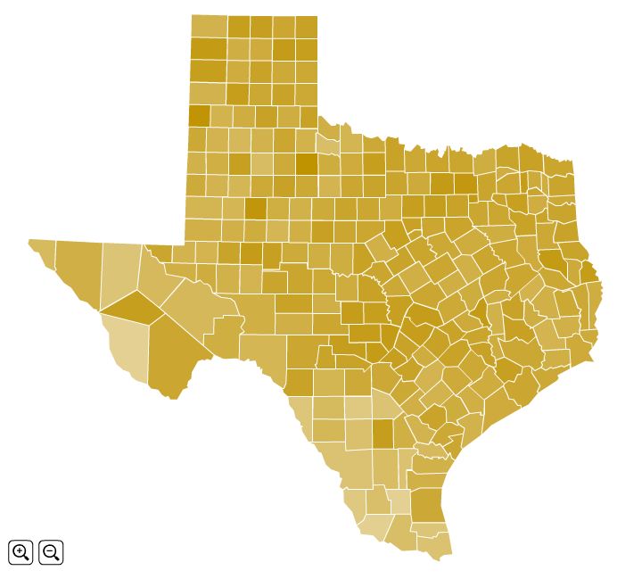 Texas Turnout