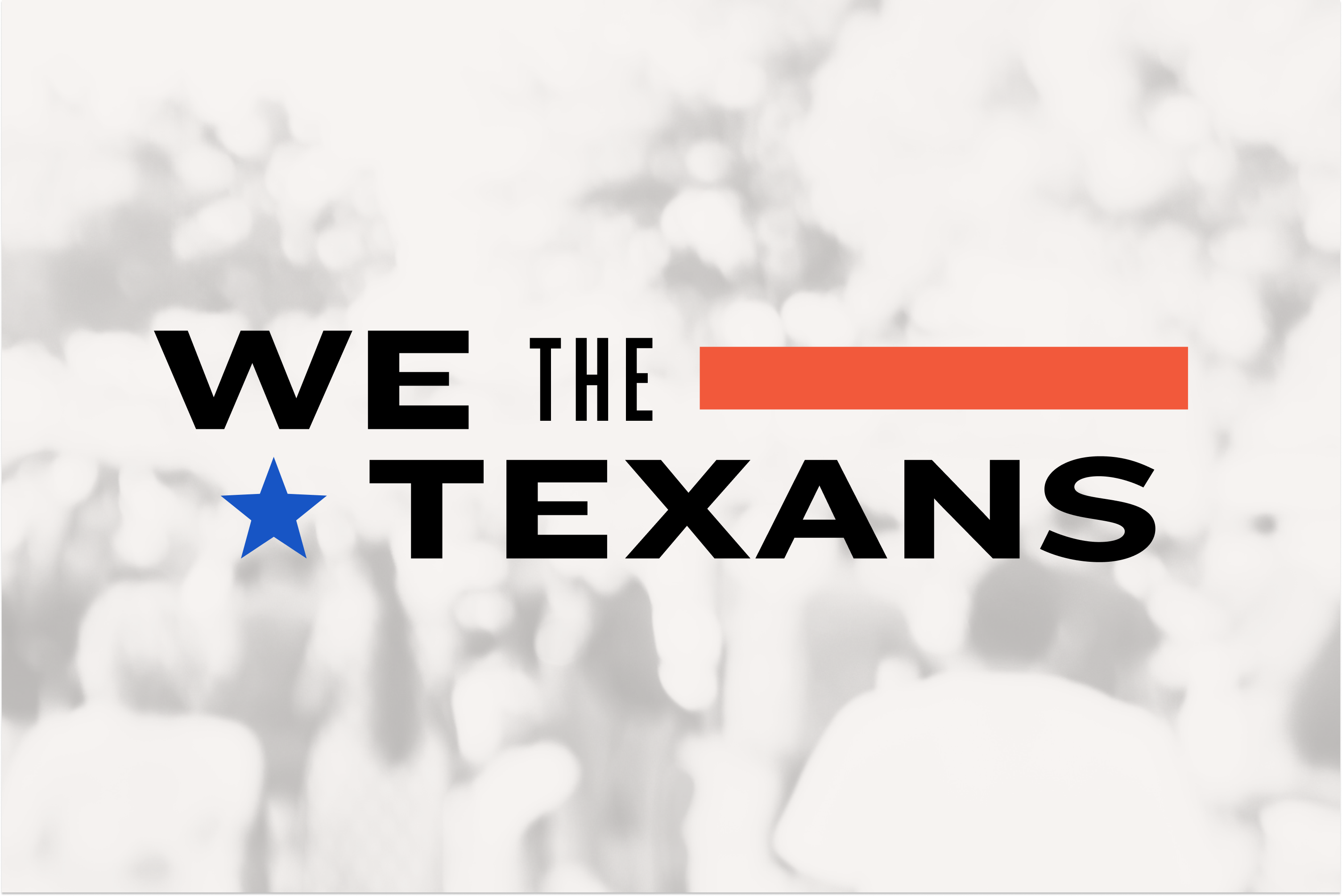 We the Texans series logo.