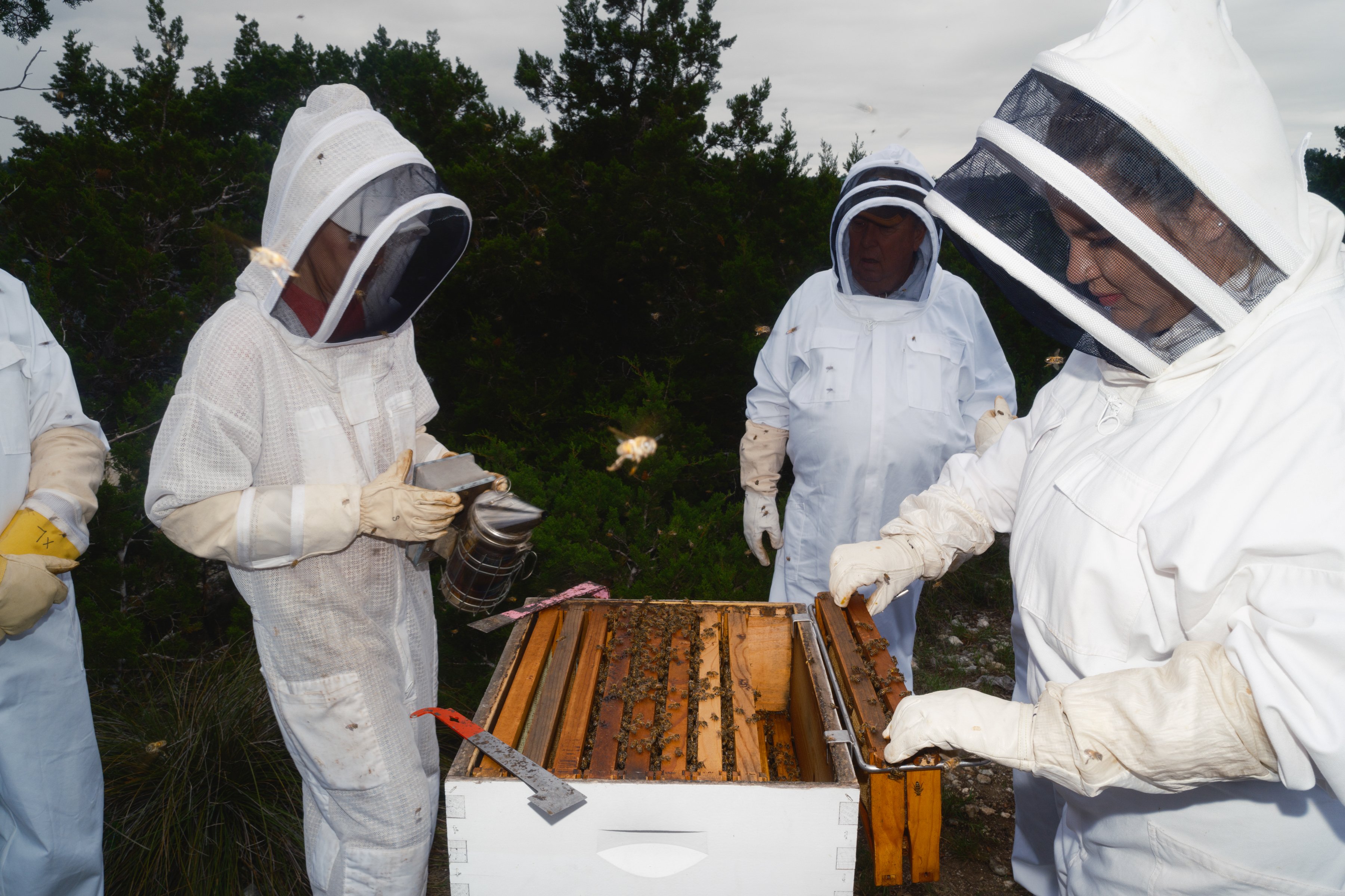 A student learns how to inspect a hive of bees at Entomolgist Molly Keck’s house during a bee keeping class in Boerne on Friday, May 10, 2024.