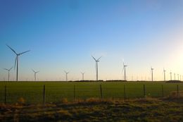 A wind farm near Abeline, TX, April 5, 2011