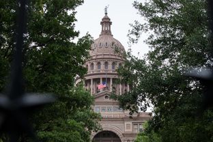 The Texas Capitol, May 15, 2015.