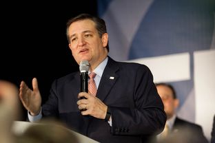 Supporters gather to see Sen. Ted Cruz and to await the results of the Republican caucus at the Iowa State Fairgrounds in Des Moines, Iowa on February 1, 2016.