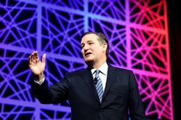 Former presidential candidate and U.S. Sen. Ted Cruz speaks at the state Republican convention in Dallas, Texas on May 14, 2016.