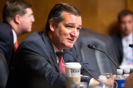 U.S. Sen. Ted Cruz, R-Texas, speaks during a U.S. Senate Judiciary Committee hearing in Washington, D.C., to consider five nominees to fill vacancies on federal courts in Texas. The hearing was Sept. 7, 2016.