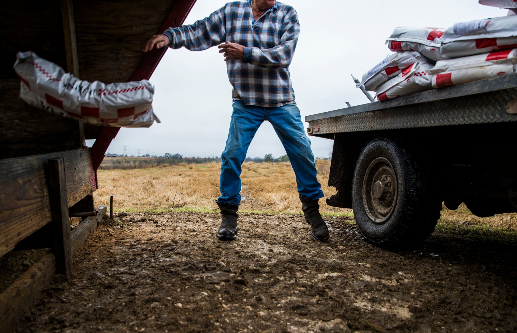 John Stoneham throws a bag of feed in to a troth for his cows at his ranch on January 18, 2017 in Grimes County. The roughly 1,000-acre ranch is in the proposed path of a high speed rail line. If the rail is built, Stoneham could lose about 50 acres of land in the middle of his property, limiting his access to grazing pastures.