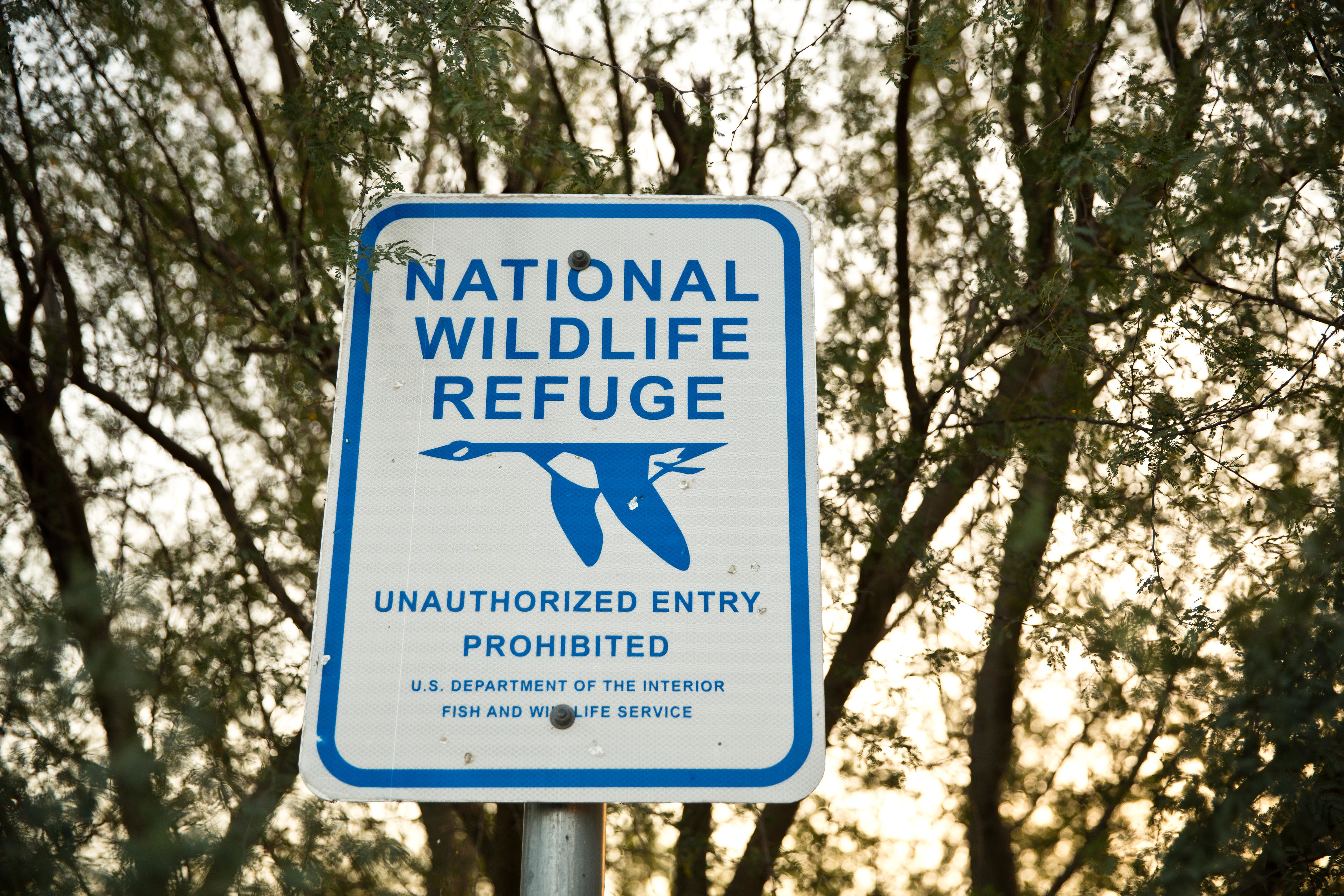 Before the border fence was even a topic, the federal government was buying up land along the border to protect endangered species. Environmentalists and conservation groups say the border fence has compromised the federal government’s own efforts to protect those animls, pitting the U.S. Department of Homeland Security against the U.S. Fish and Wildlife Service.