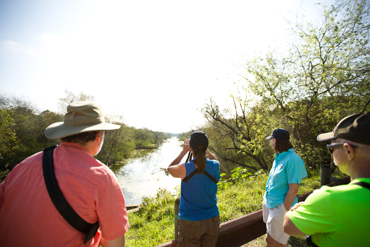 A group of Wisconsinites on the lookout for birds and other wildlife at Resaca de la Palma State Park and World Birding Center in the Rio Grande Valley. The region is one of the preeminent birding and ecotourism locales in the Unites States, drawing some 685,000 visitors last year.