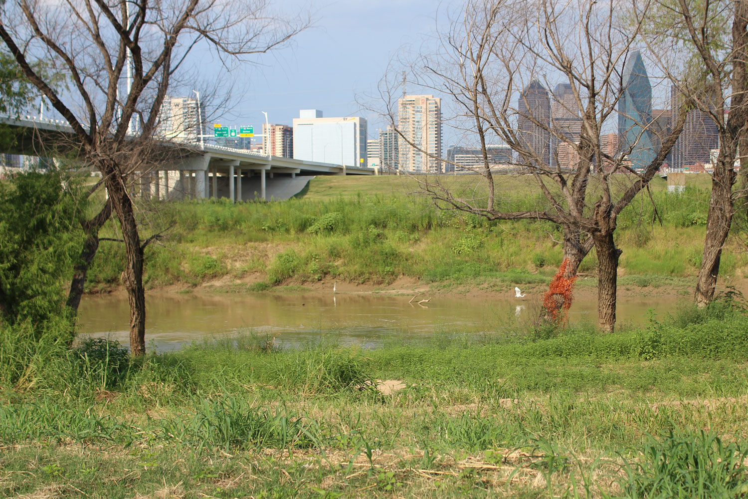 Dallas has long planned to turn the Trinity River floodplain near downtown into a massive urban park. But for years, plans for a riverside toll road cast a shadow of controversy over the project. 