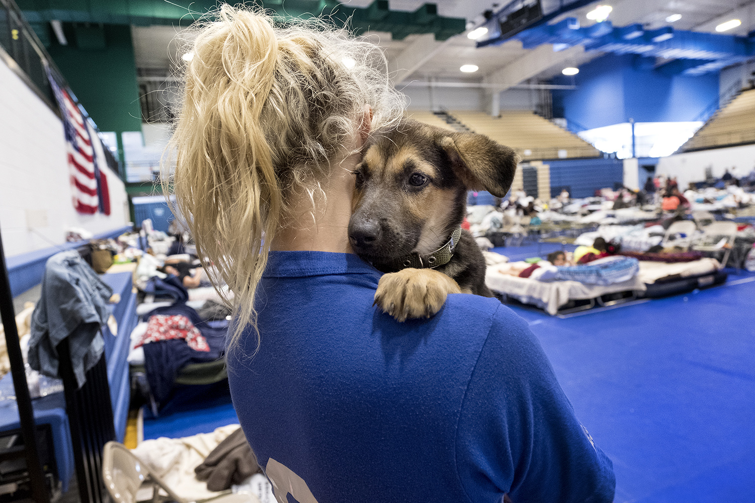 Tesa Rutherford, 21, and her fiancé Brandon Olivarez, 22 recently moved to Rockport, where they lost everything to Hurricane Harvey. When they went to check on their property, they found a puppy, rescued him and named him Harvey. They took shelter at the Wilhemina Delco Center emergency hurricane shelter in Austin, Texas on Tuesday, August 29, 2017.