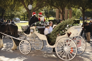Christmas tree grower Marshall Cathey, center, and his family from Denison, TX arrive via horse-drawn carriage at the Texas Capitol on November 28, 2011 with one of several Capitol Christmas trees that will adorn the House and Senate chambers and hallways.